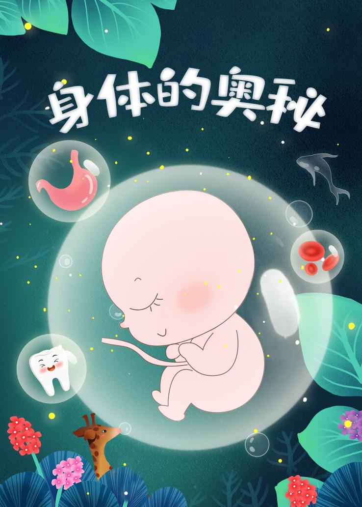 身体的奥秘