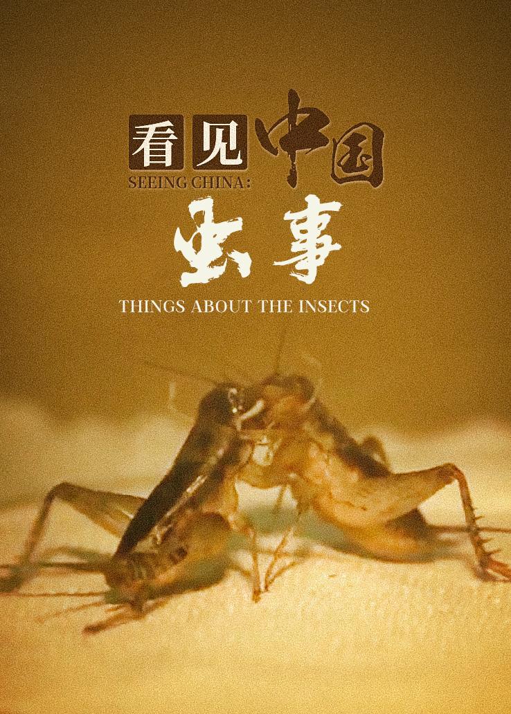 看见中国：虫事
