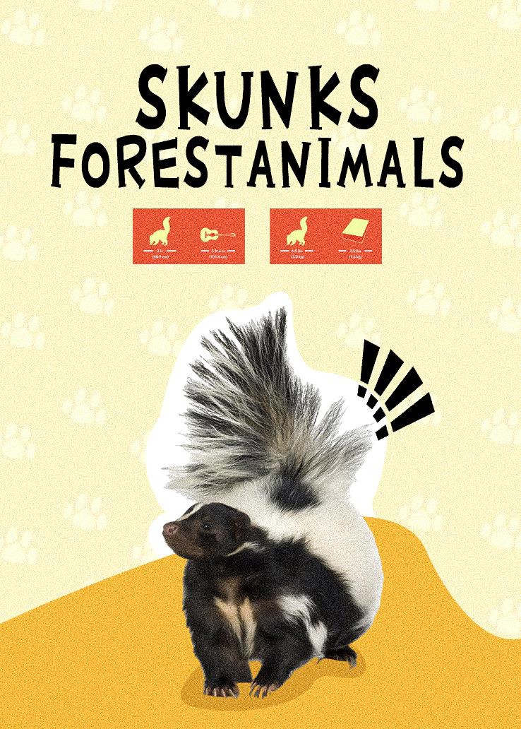 Skunks ForestAnimals