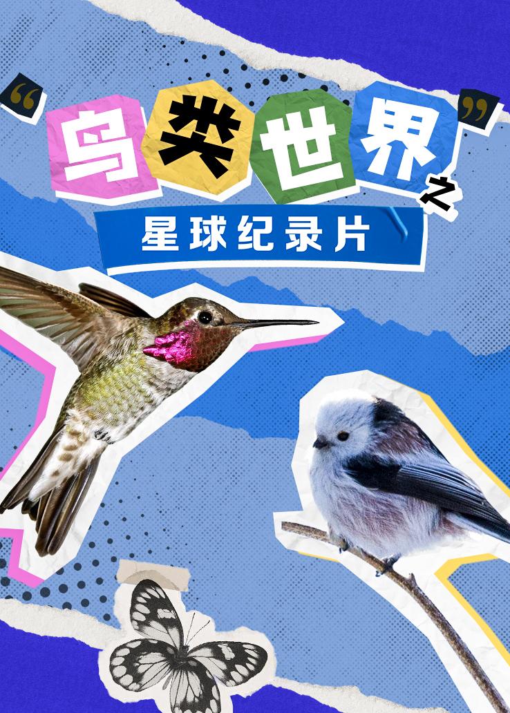 鸟类世界之星球纪录片